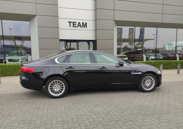 Jaguar XF cena 99900 przebieg: 155587, rok produkcji 2018 z Radzyń Podlaski małe 742